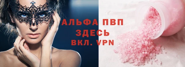 спайс Богданович