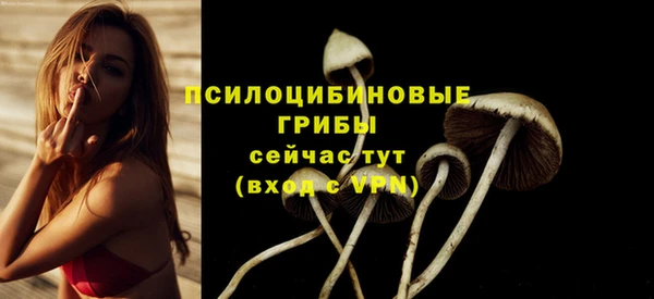 PSILOCYBIN Белокуриха