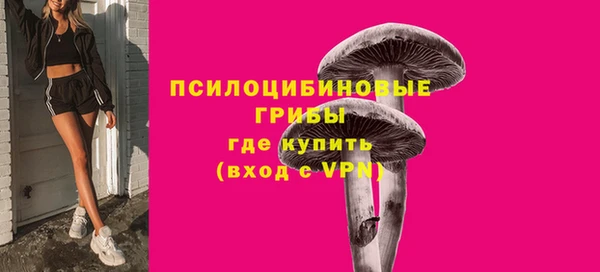 герыч Богородск