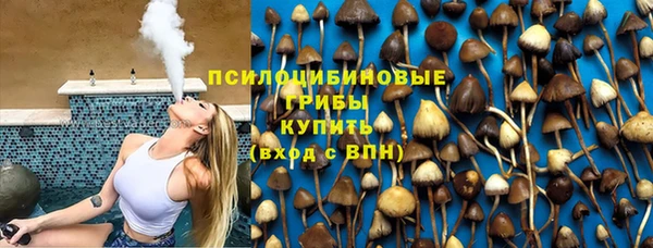 бошки Беломорск