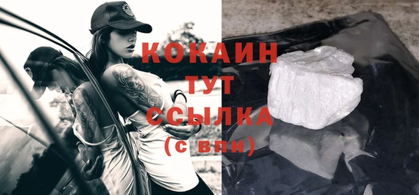 спайс Богданович